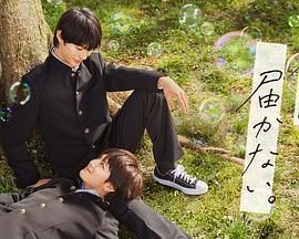 青岛网站优化技术厂家